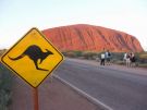 Pelno ludzi, brak kangurow... dookola Uluru