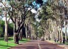 Perth - Kings Park Fraser Avenue balanced