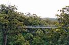 Walpole - Tree Top Walk