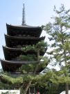 Pagoda Kofuku-ji w Nara