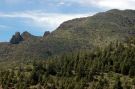 Las i krzewy pokrywajce zbocza Teide