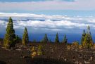 Prawie na szczycie Teide, powyej warstwy chmur