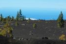W drodze na Teide - pod nami biae chmury i czarny piach