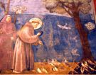 w. Franciszek Giotta