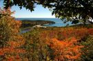 Oszałamiające kolory Acadii