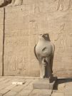 Bg Horus z Edfu